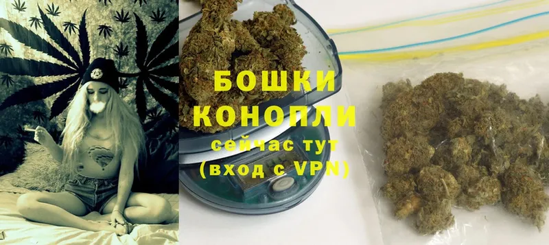 Шишки марихуана THC 21%  Краснозаводск 